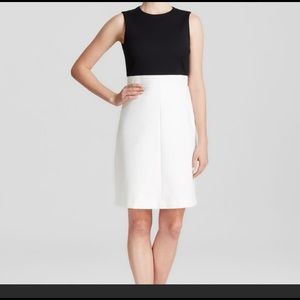 Theory Raneid Tribute Dress size 8